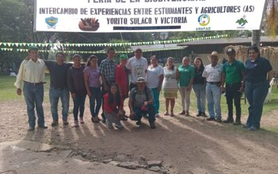 Feria de Biodiversidad en Yorito